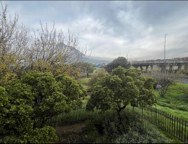 305M² OFFICE TO LET IN MOWBRAY